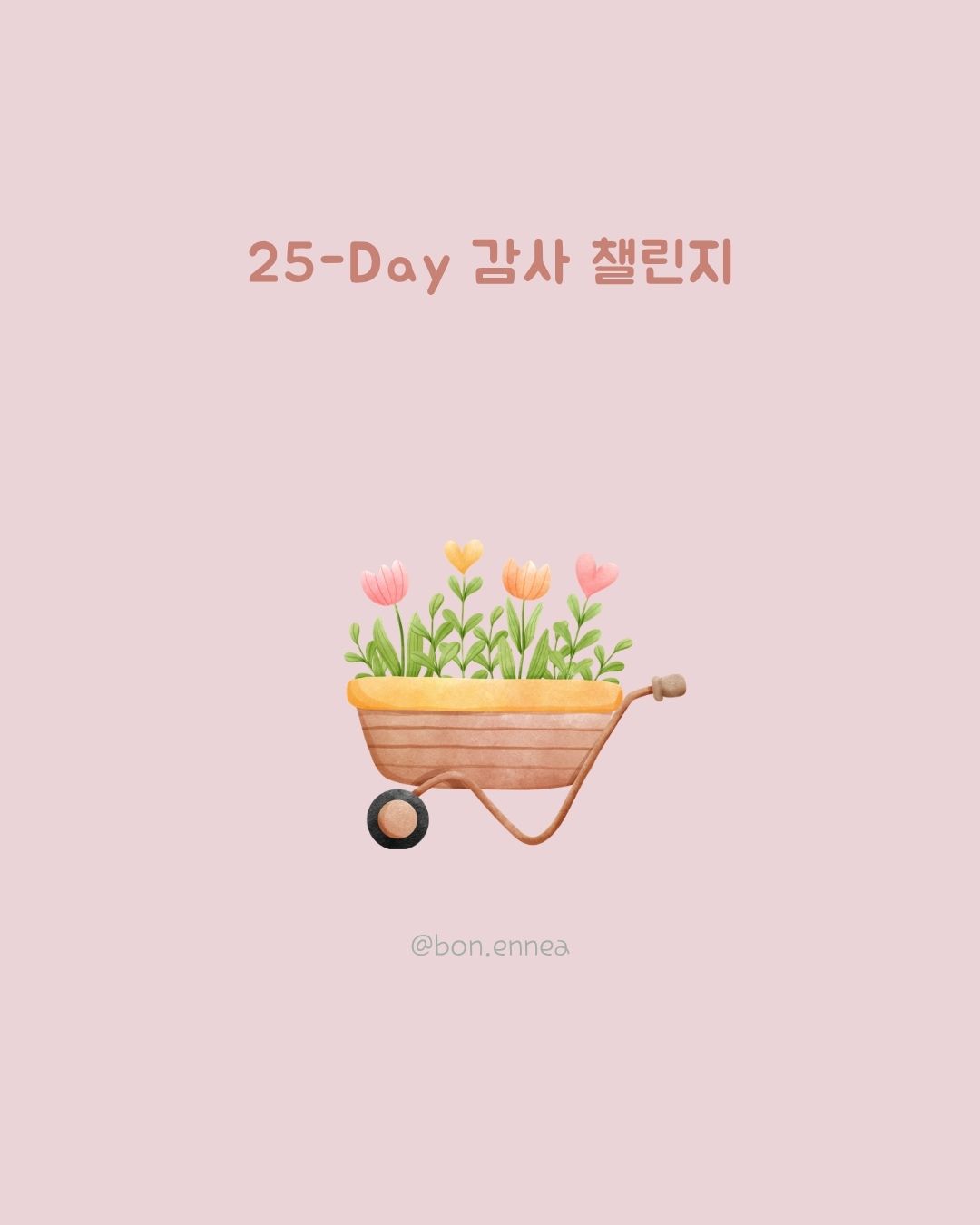 하루 5분, 나를 채우는 시간: 에스지본과 함께하는 ‘25일 감사 챌린지 대표 이미지